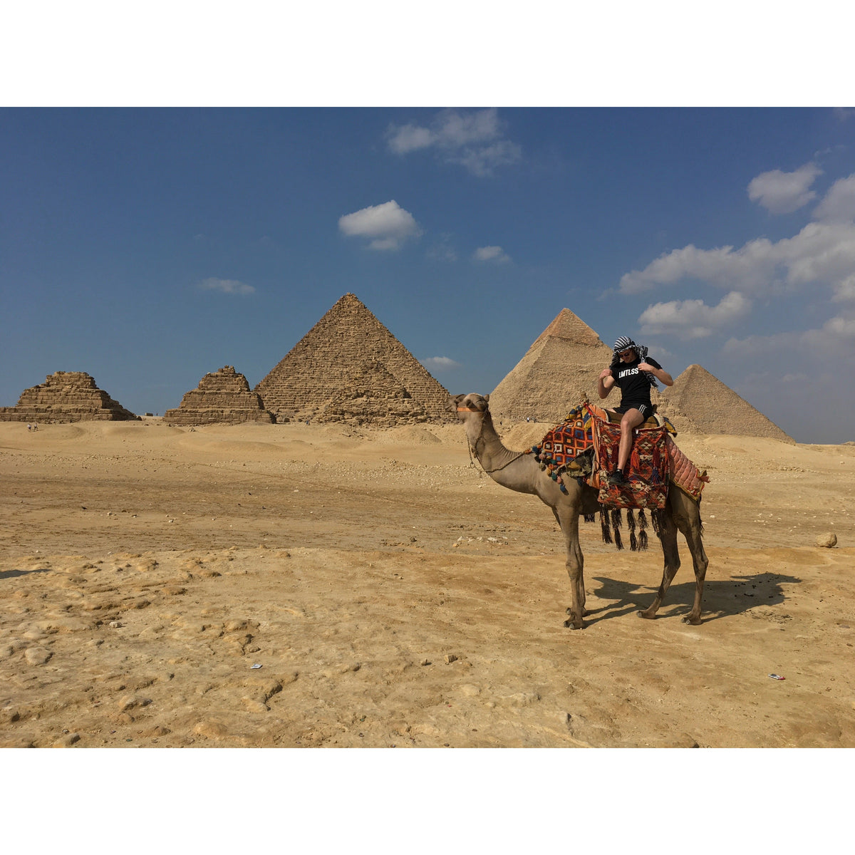 Signature T-Shirt T-Shirts LMTLSSlifestyle 